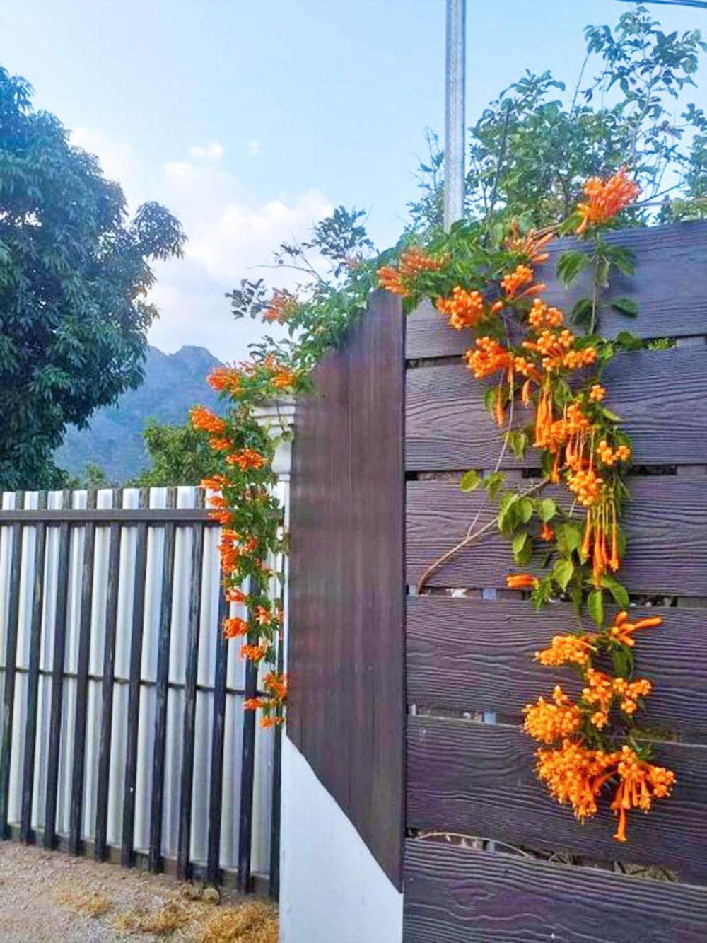 Vang Vieng Garden Villa Extérieur photo
